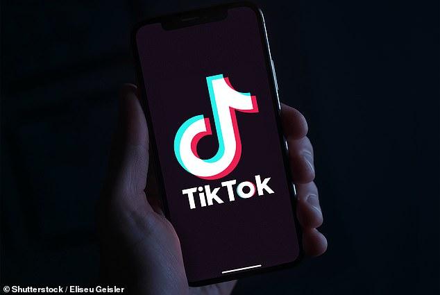 Children as young as five are 'livestreaming pornographic content for paedophiles on TikTok to fund video games', police experts warn