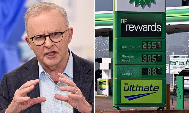 Australian farmers issue dire warning over price of groceries as truckers share same grim prediction amid conflict in Middle East: 'Prepare for Armageddon'