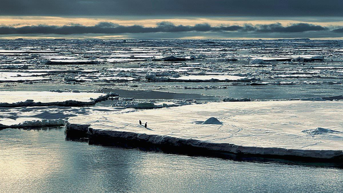 Antarctica is being ravaged by a TRIPLE whammy of 'climate chaos' that has melted sea ice to record lows, study warns