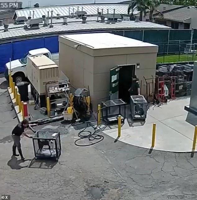 Confused puppies filmed 'being wheeled into windowless California execution chamber', as shelters are overwhelmed and LA mayor is accused of ignoring cruelty boom
