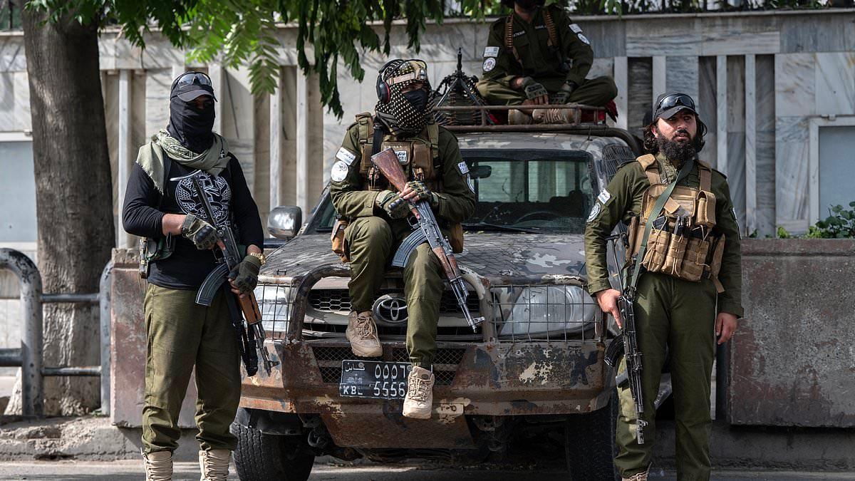 The women raped by the Taliban: Victims describe horrific sexual abuse at the hands of multiple men as punishment for getting a job or posting on social media