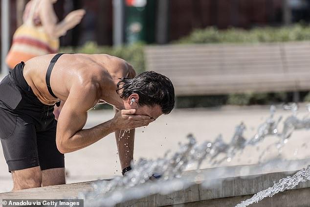 Tragic details emerge of how three-year-old died in family car during French heatwave while parents thought he was sleeping in his room