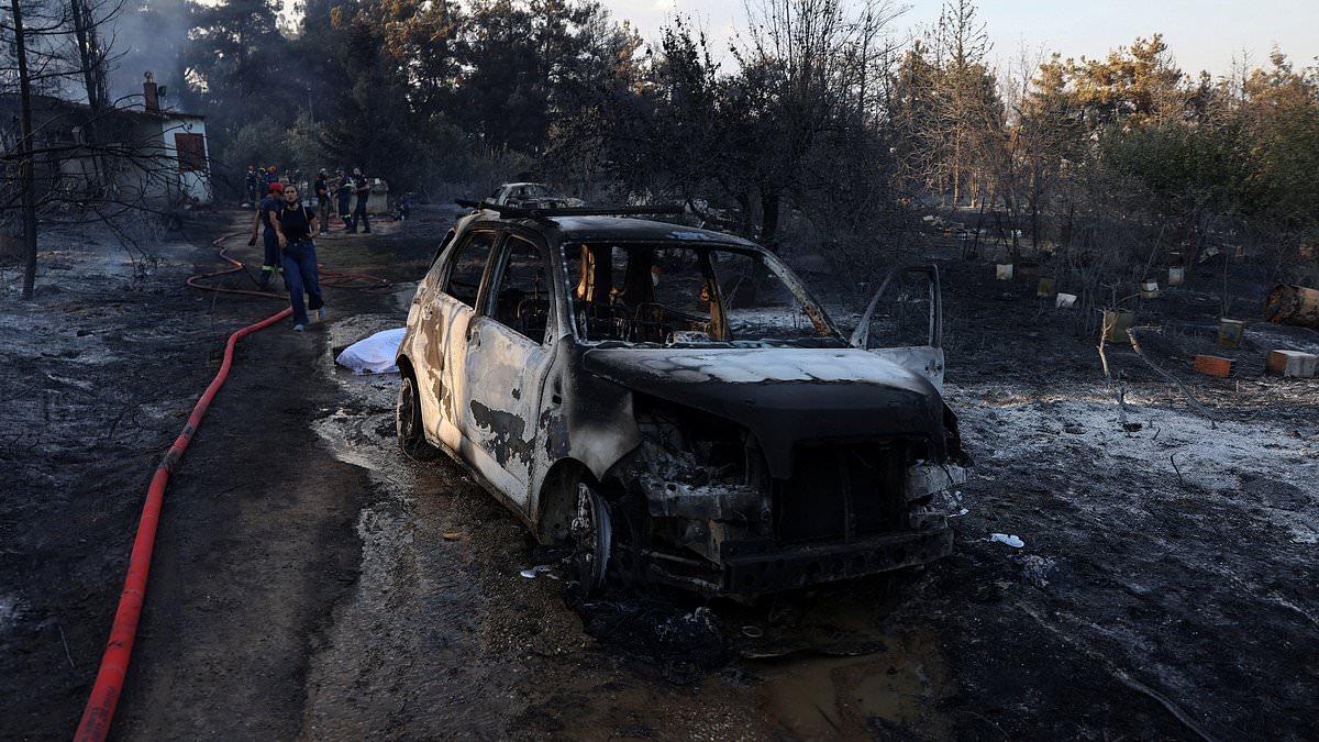 Europe hit by deadly weather extremes: Forest fire kills two in Greece, storms claim lives in the east and Portugal braces for 44C heat