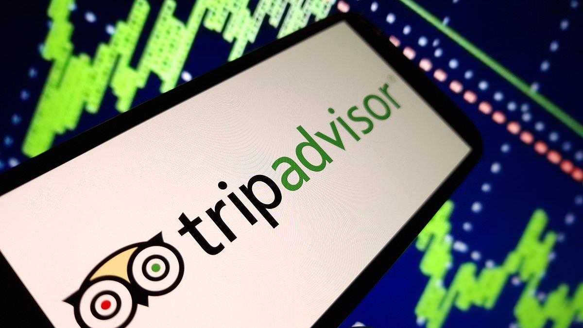 'Potentially life-threatening': Tripadvisor's AI tool gives glowing reviews to hotels facing serious safety complaints, investigation finds