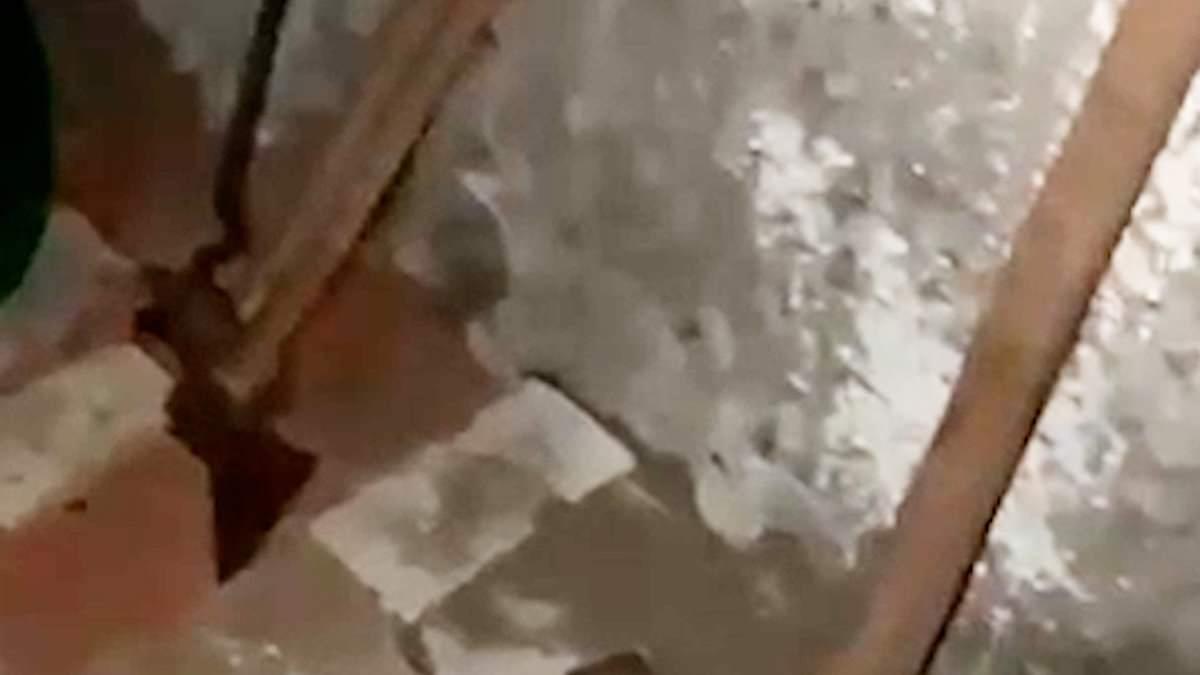 Blood-stained 'torture chamber' with axes and hammers is found in home of 'ex cop who shot female Monaco bomber dead' - as it's revealed 'he and spy had sent her crypto funds'