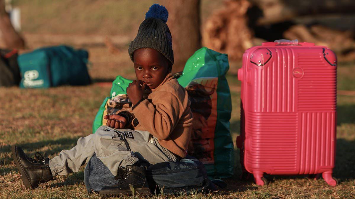 South Africa was once hailed as a 'Rainbow Nation' - now it's being torn apart by 'Afrophobia' as black South Africans turn against illegal migrants from other African countries who they fear will take their jobs: SUE REID