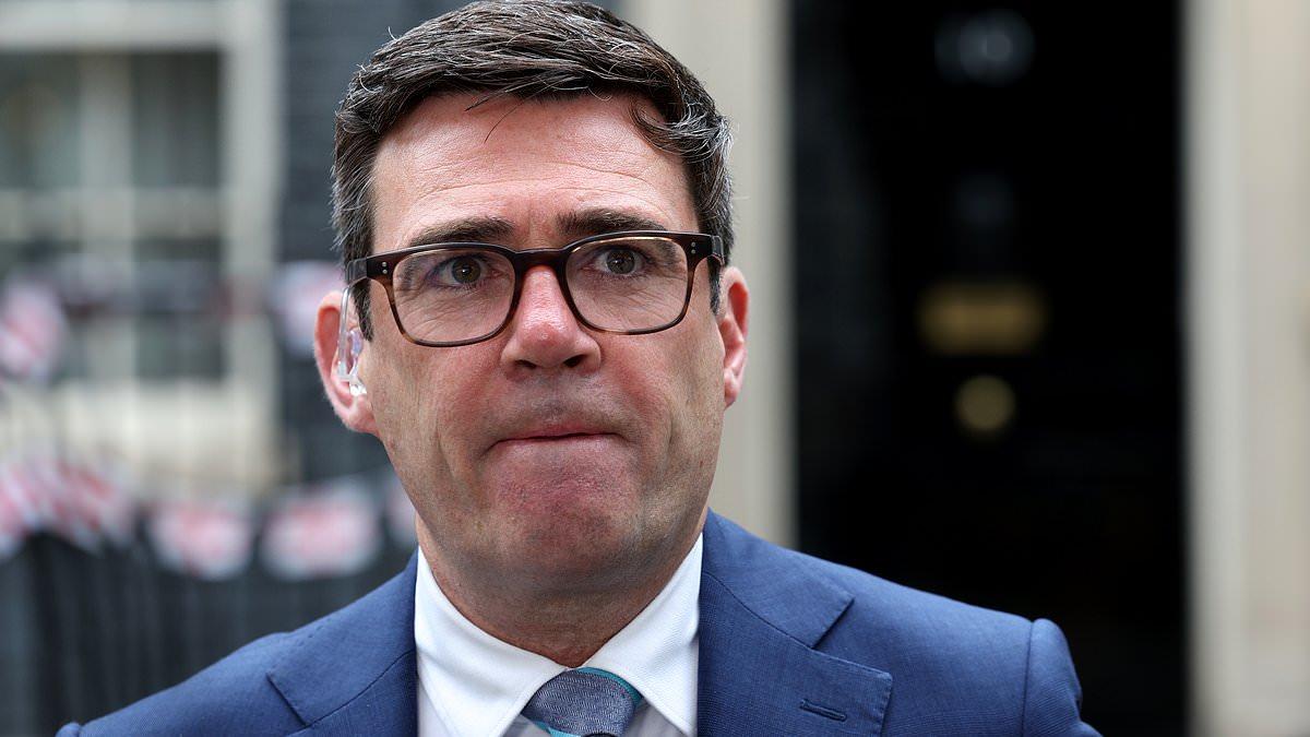 Toe-curling antics of Labour MPs in 'Pestminster' dossier being used by rivals to stop them getting top jobs in Burnham's government