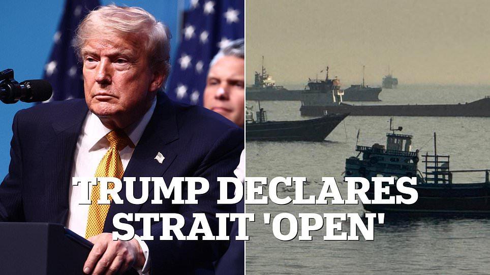 Trump declares Strait of Hormuz 'open' before SNAPPING at female reporter