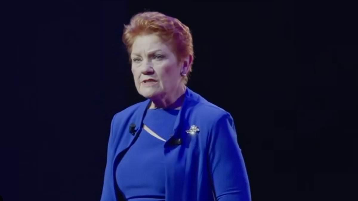 Pauline Hanson blasts 'stupid' Australian authorities in broad spray against trans rights, immigration and white guilt: 'Do not apologise'