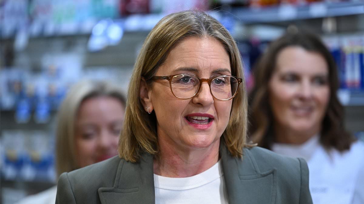 Is this the end of the Victorian Premier? Leadership rival Ben Carroll tells Jacinta Allan he is challenging her - as her Labor mates demand she resign