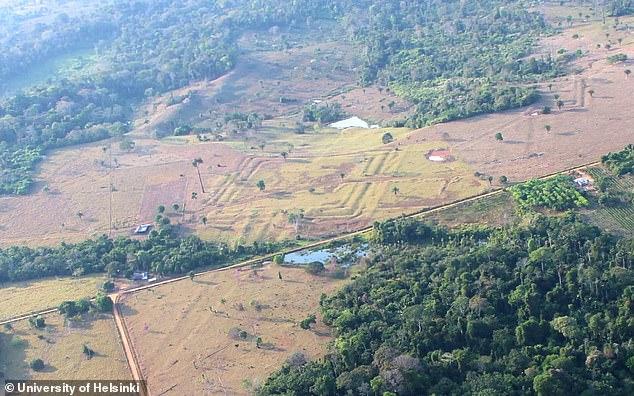 The Amazon's lost civilisation: Hidden network of 20,000 structures reveals rainforest once teemed with MILLIONS of people