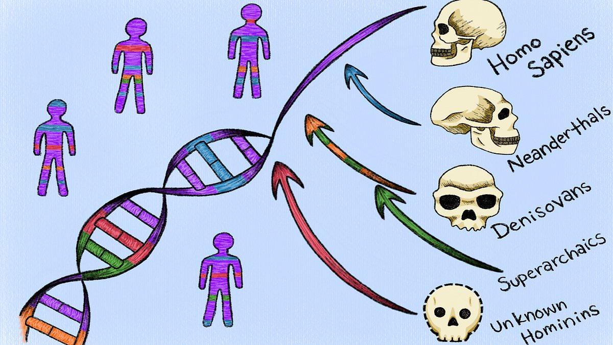 The ghost ancestors hiding in your DNA: Scientists uncover traces of two mysterious human relatives we've never found