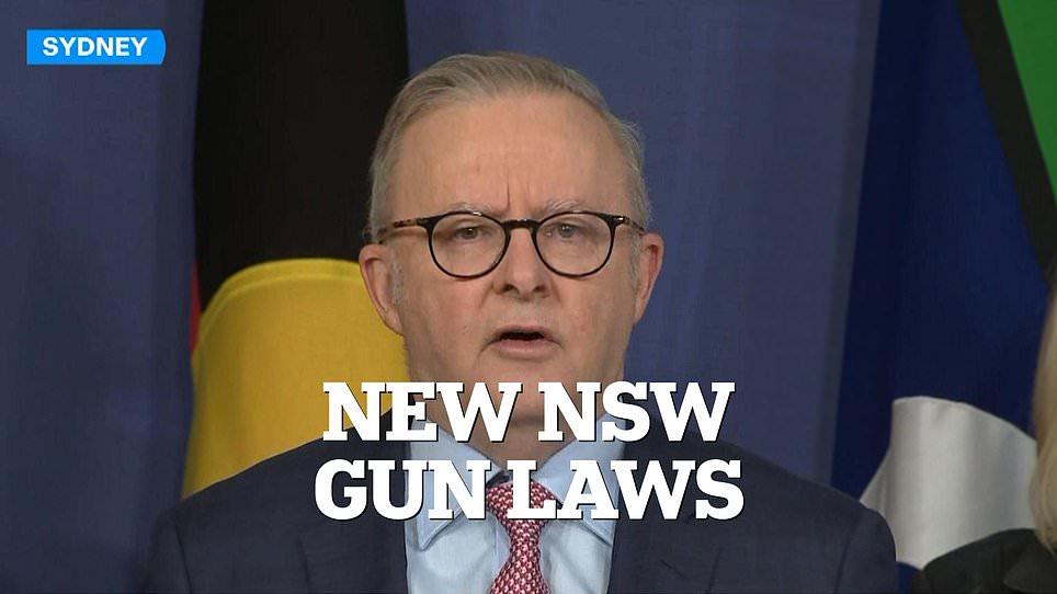Anthony Albanese secures gun buyback in Aussie state after Bondi Beach massacre - but One Nation opposition makes it an election issue