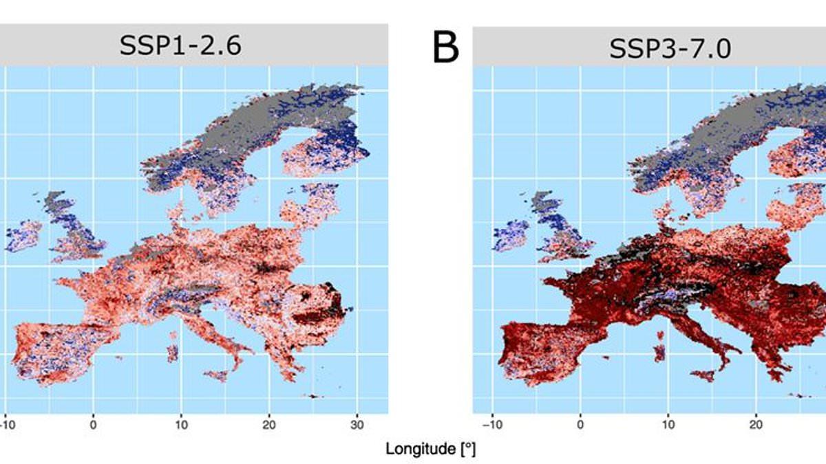 Think this is bad? Study warns the area affected by wildfires in Europe will TRIPLE by 2100