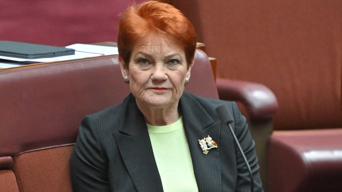 Pauline Hanson vows to take free-speech battle against discrimination laws to Australia's High Court
