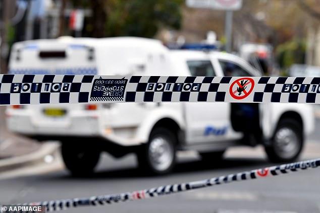 Sydney schoolboys, 17, accused of gang rape allegedly drank with the girl at a pub hours earlier, police say