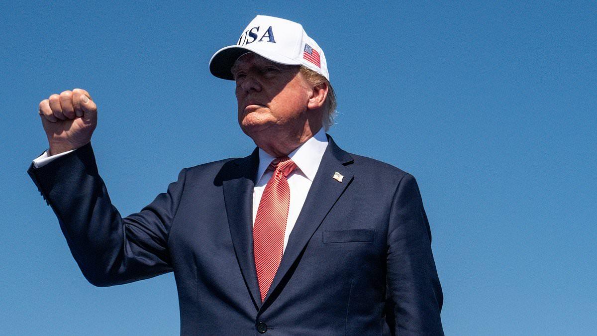 Trump praises hard-right AfD party's election victory: 'Germany finally got tired of the immigration rules which hurt them so badly'