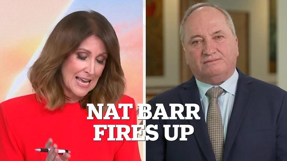 Barnaby Joyce stands by Pauline Hanson over public housing comments about Albanese's mother