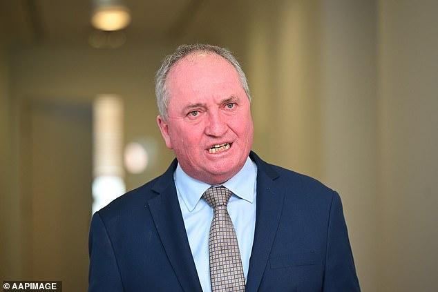 Where is Pauline Hanson? One Nation leader accused of going to ground as fallout grows over her comments about Anthony Albanese's mum