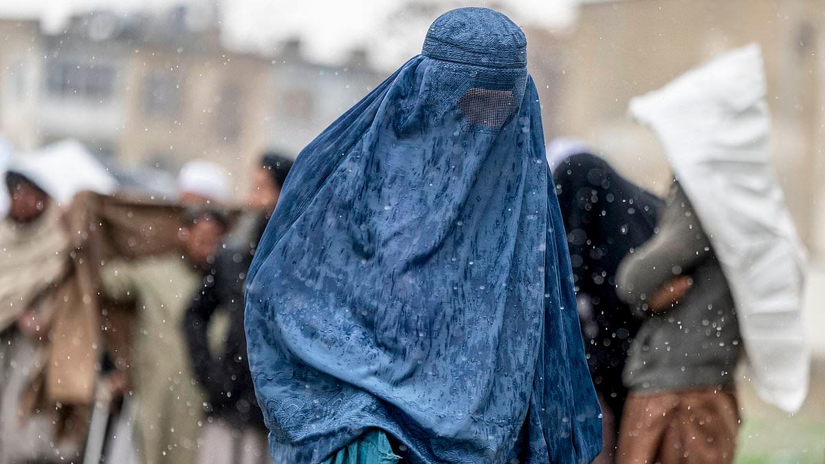 Taliban unleash new crackdown on women with 20 dragged off the street by female guards and beaten in jail for breaking morality rules