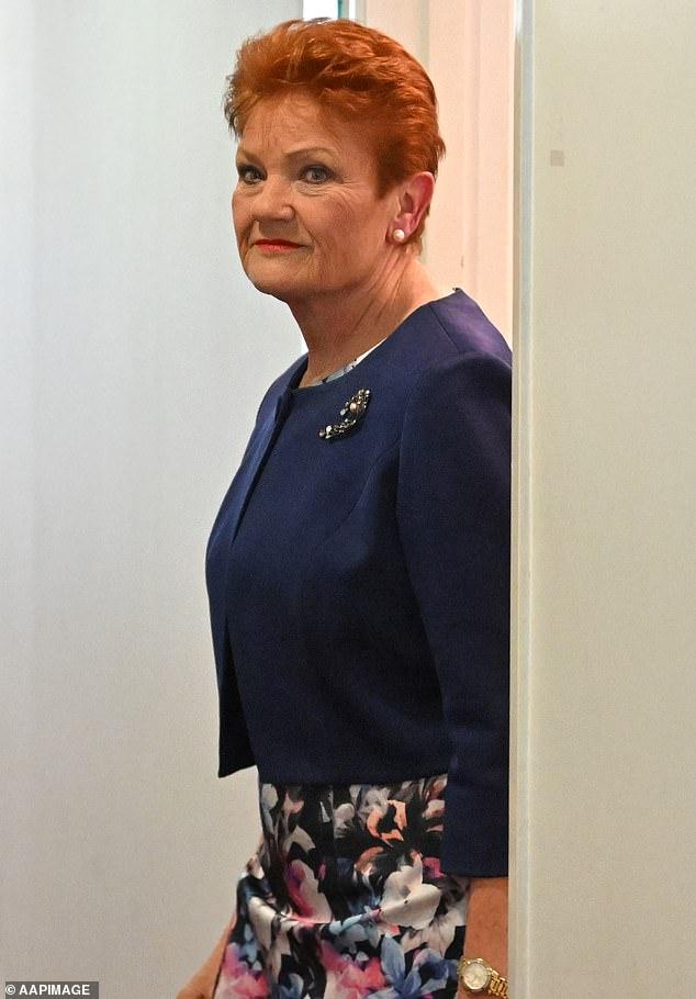 Three controversial comments... two apologies: What was behind Pauline Hanson's out-of-character mea culpas to Albo and Indigenous Australia: PETER VAN ONSELEN