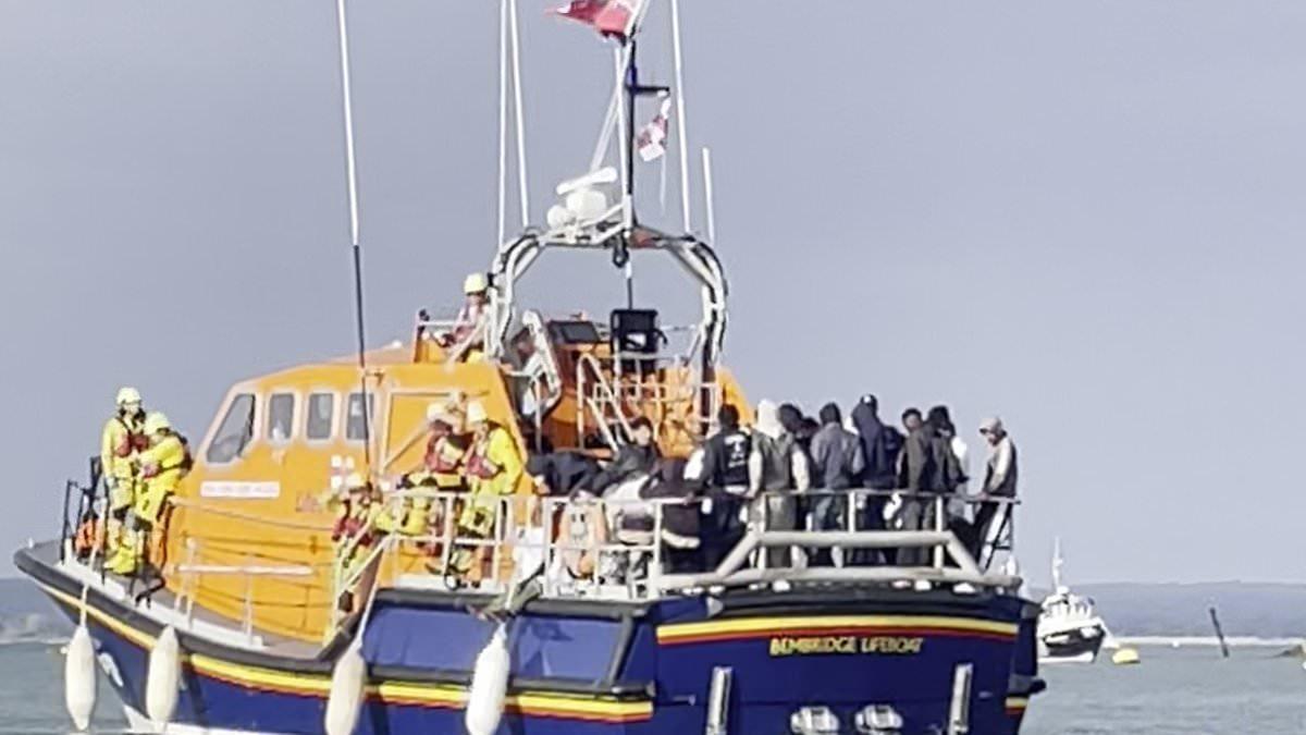 RNLI temporarily suspends services in Portsmouth after its volunteers were abused by anti-migrant protesters