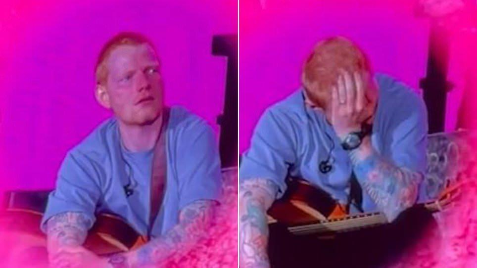 Ed Sheeran is accused of 'bowing to the mob' after addressing the Israel-Palestine controversy amid tour row