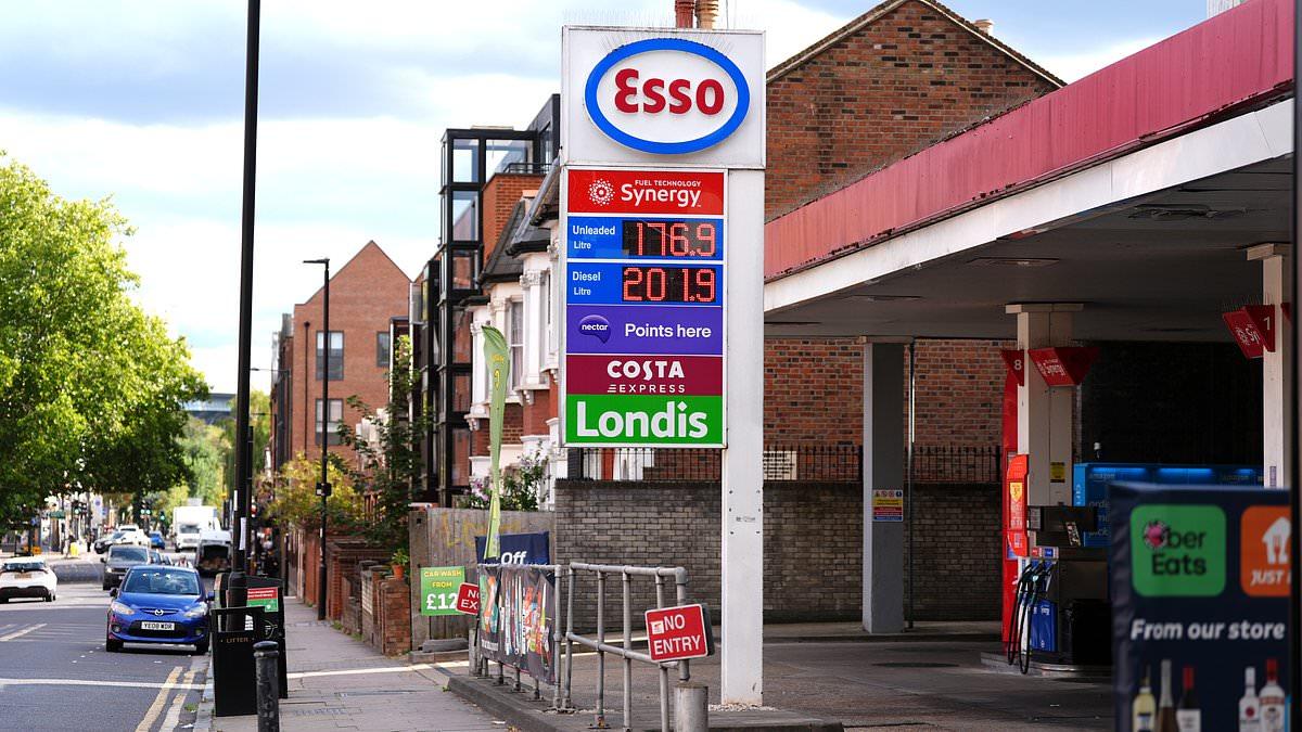 Diesel price 'could get close to £3 a litre' with motorists paying up to £165 to fill a tank if Trump brings in US export ban