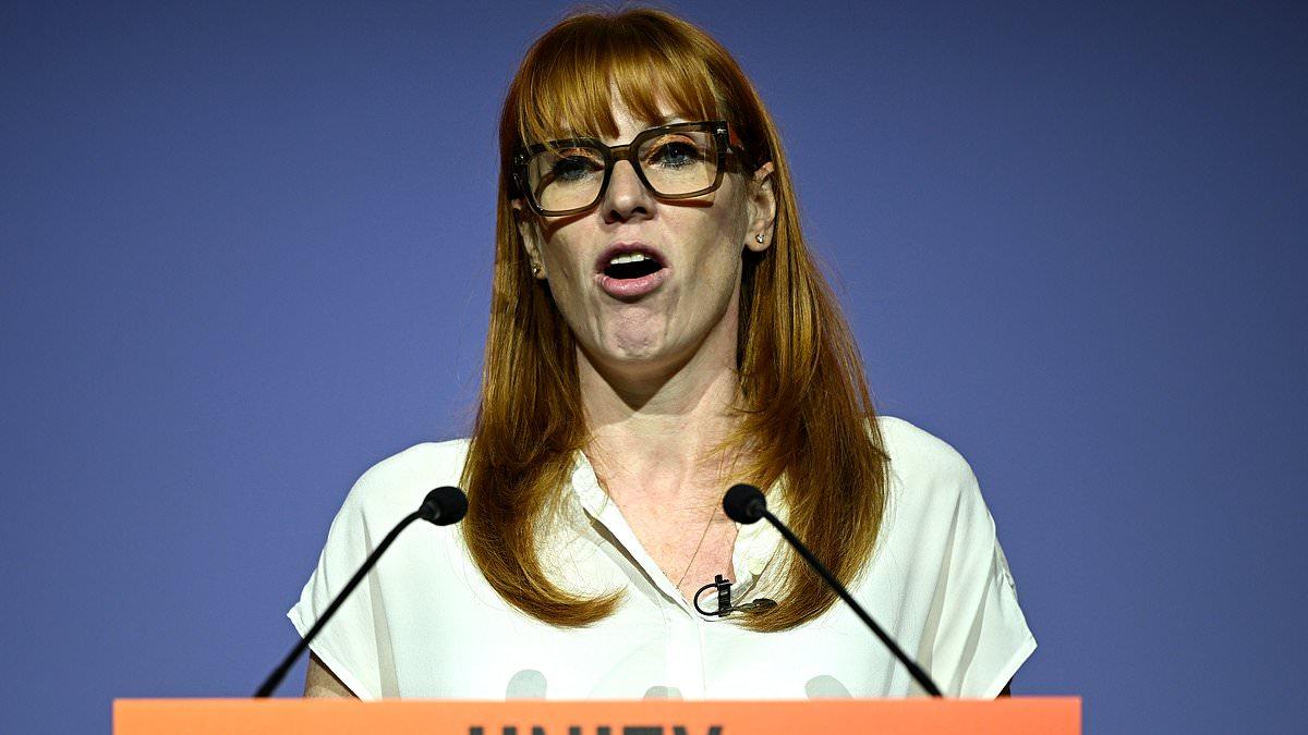 Shabana Mahmood's migrant visa plan is flawed, says Angela Rayner