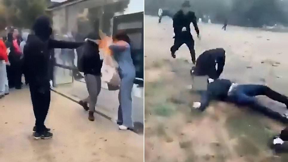 Rioter blasts woman in the face with a flamethrower and off-duty cop is kicked unconscious as French student protests descend into anarchy