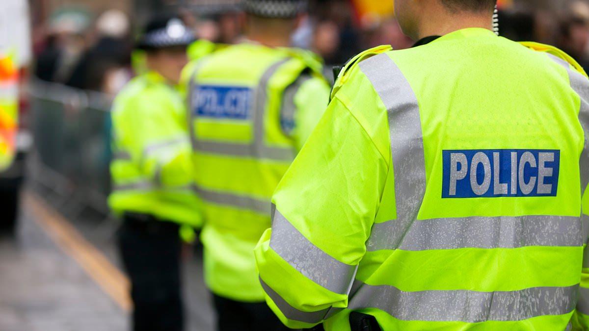 Police get 'Big Brother' powers to raid homes of EV drivers who dodge new tax - sparking accusations of a 'state power grab'
