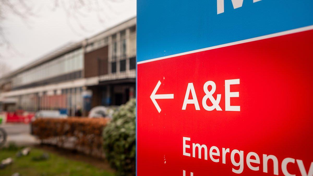 NHS faces 'perfect storm' this winter as doctors warn two-thirds of A&Es are 'unsafe' and call for immediate action to 'avert disaster'