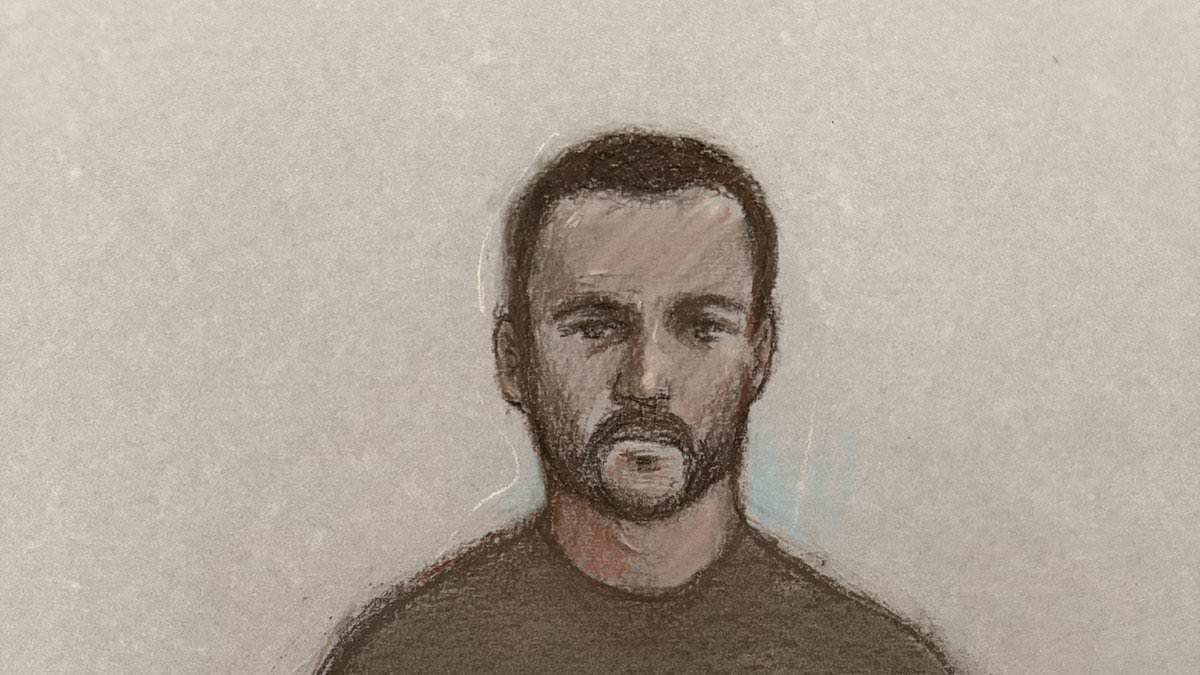 Royal Navy sailor who 'tried to use dark web to send military secrets to Russia' faces 2027 trial as fresh charges are brought
