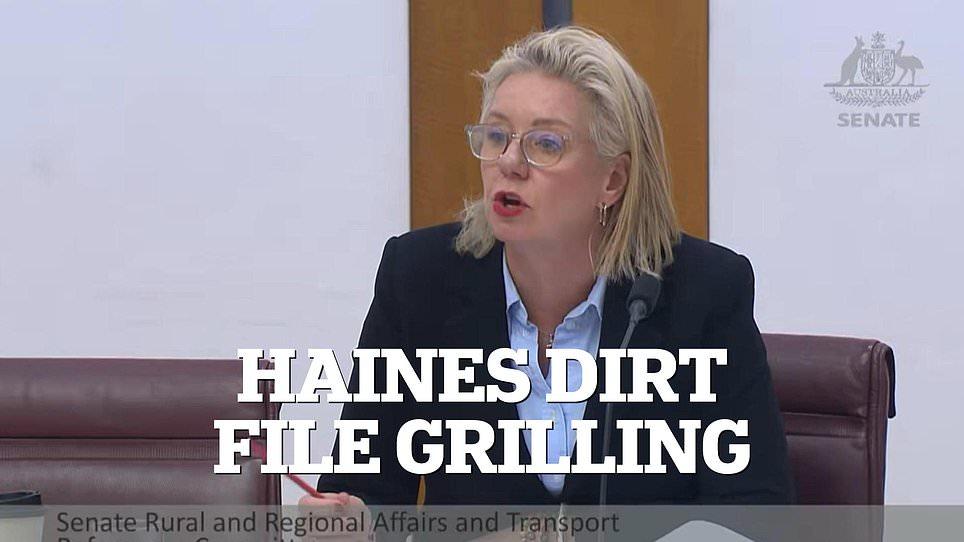 Tense moment public servant is grilled over who helped produce Helen Haines dirt file for Albanese's office