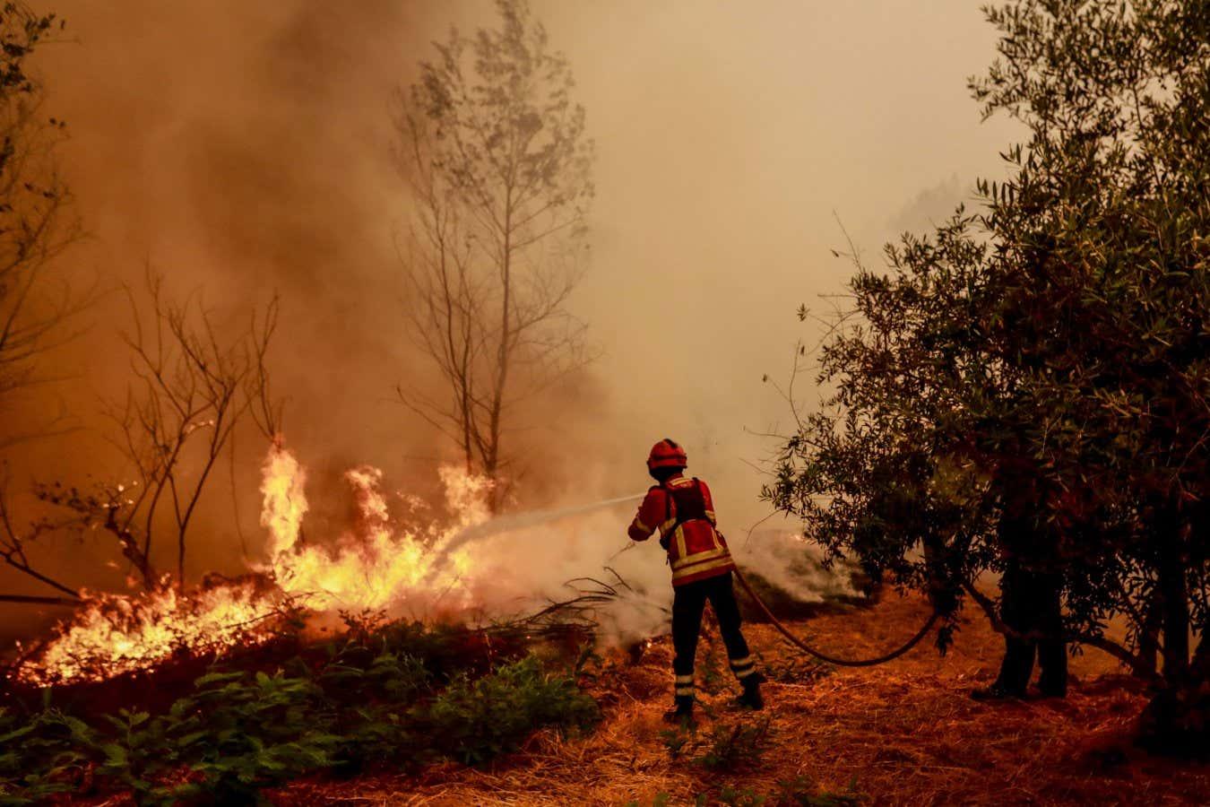 Extreme weather in 2025 drove record wildfire emissions in Europe