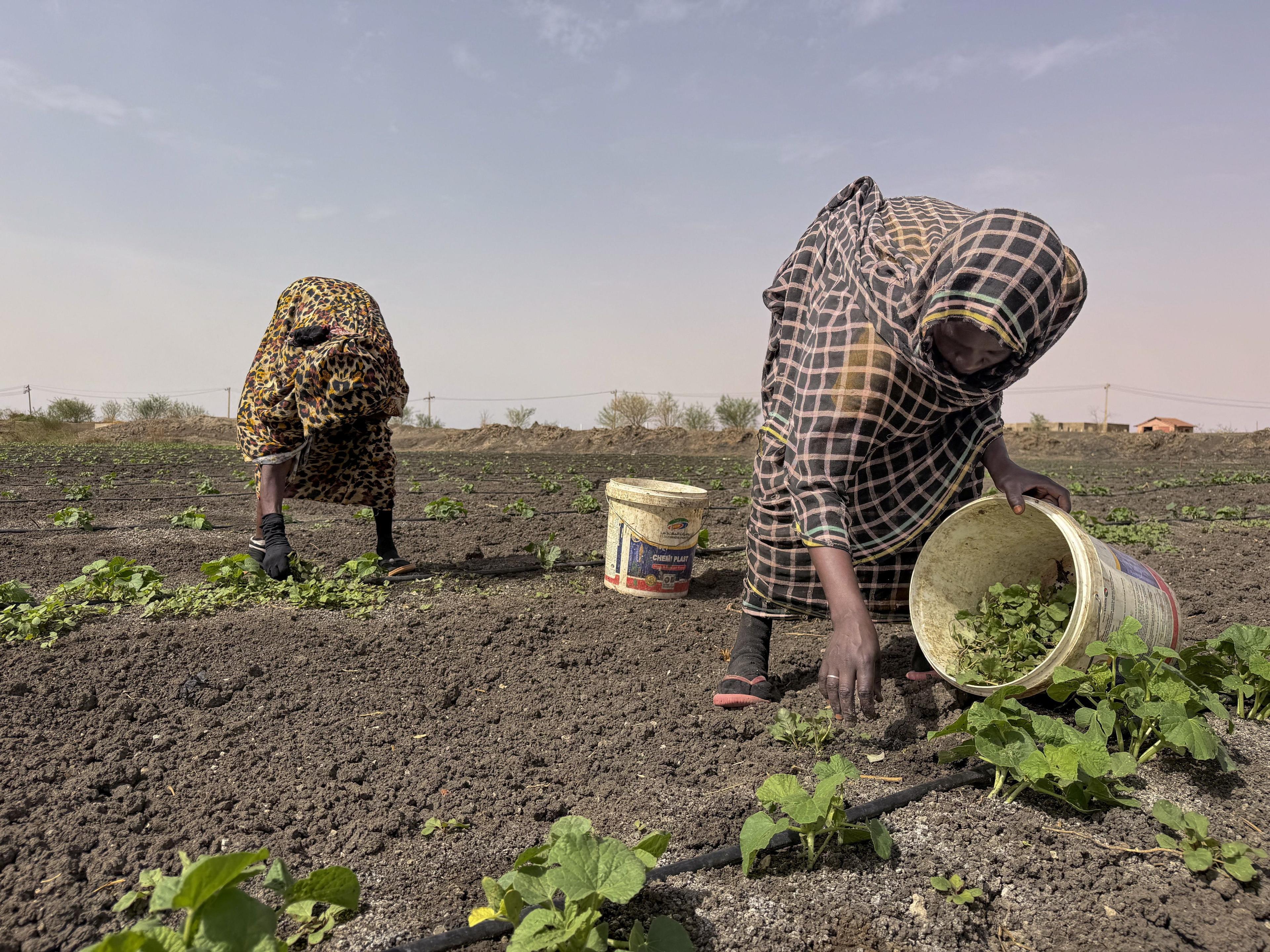 War and changing weather intensify food security concerns