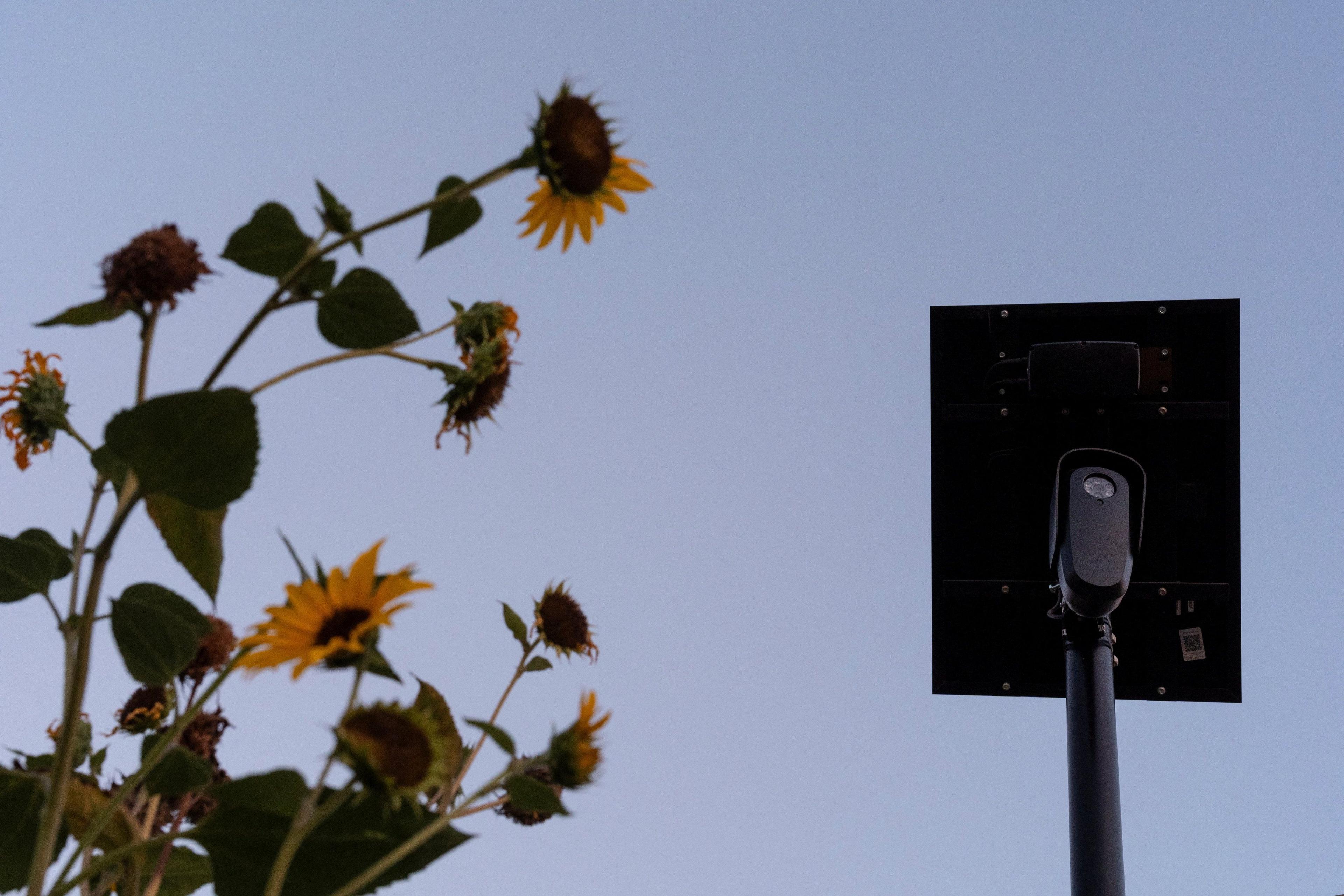 Politicians criticize Flock cameras ahead of midterms