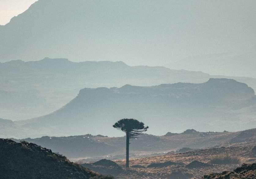 Venezuela after Maduro