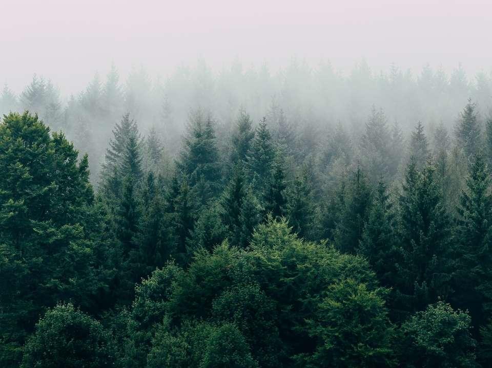 Attacks on two tankers prompt Iraq to close oil terminals.