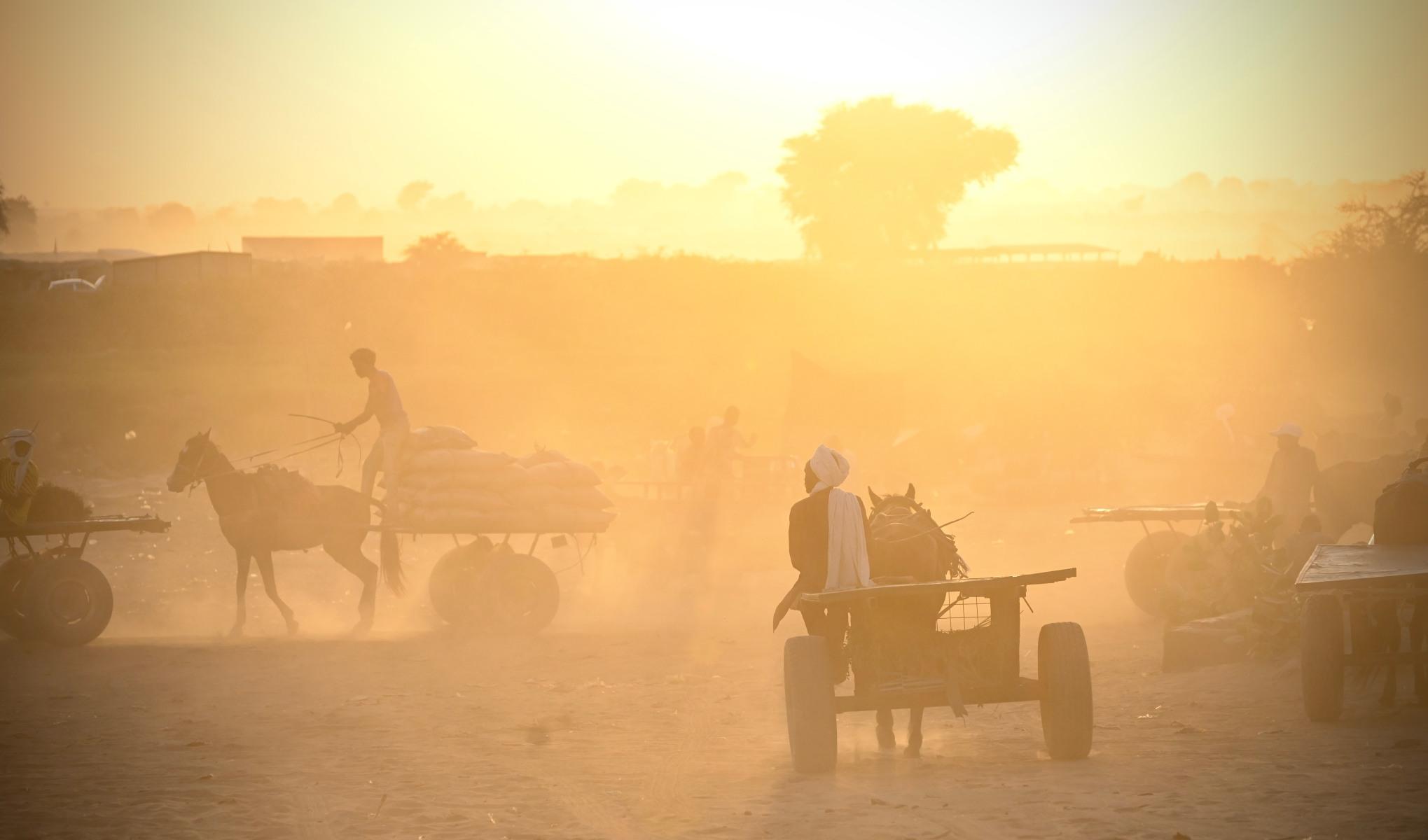 The Most Accurately Predicted Genocide in History