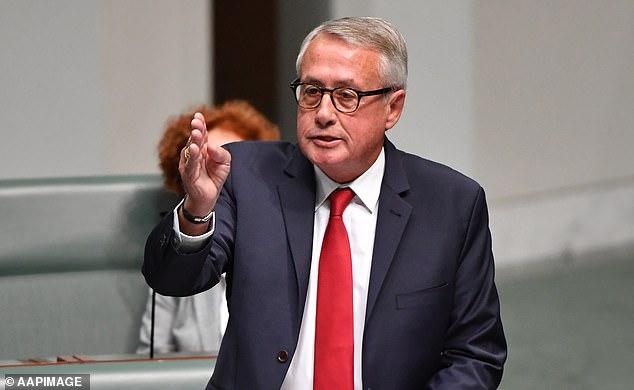 Anthony Albanese has tried to downplay the rise of One Nation's popularity... the Labor president has given him a reality check