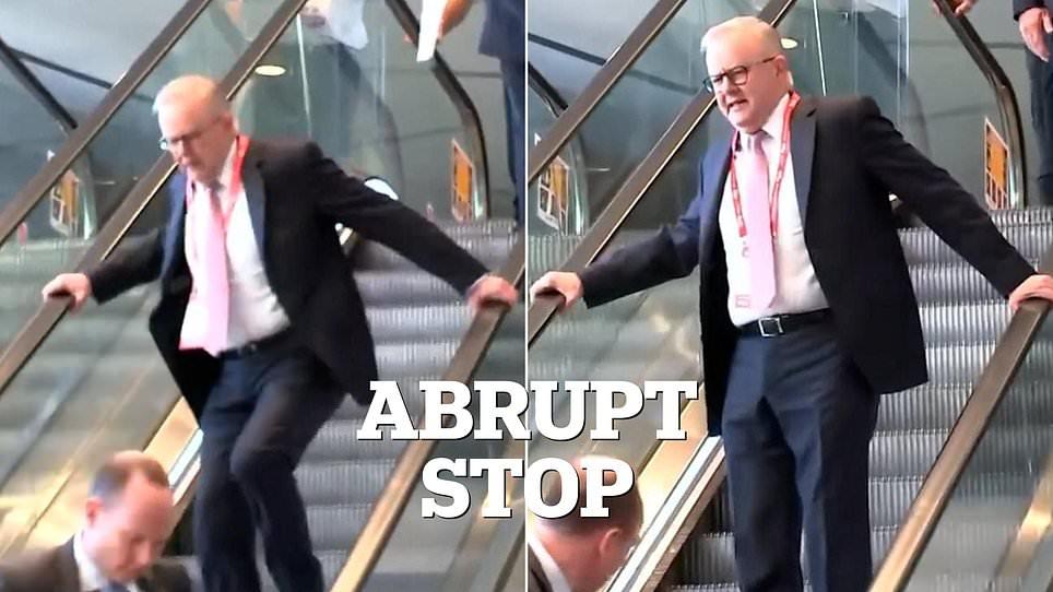 Anthony Albanese nearly falls over and drops an F-bomb as escalator suddenly grinds to a halt in awkward moment that overshadows speech