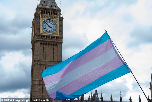 Kemi Badenoch's Conservatives tell every Tory council to implement new single-sex rules 'rapidly' - after Left-wing councils vow to defy guidance because it 'harms' trans people