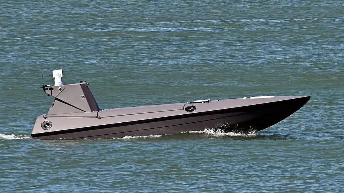 Spy cameras on Navy drones used by Britain's elite special forces 'secretly sent data to China'