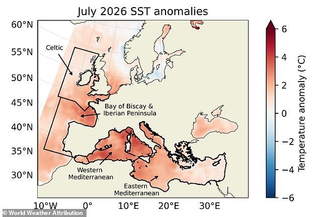 Europe's seas are experiencing an 'alarming' surge in temperatures - and scientists say climate change is to blame