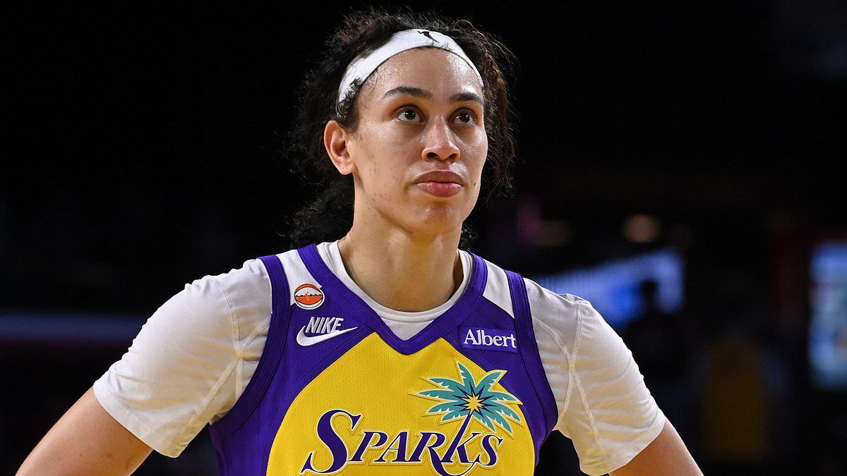 WNBA star reveals vile racist message she received after ejection for elbowing rival in the face