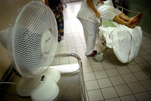 Nurses on heatwave hospitals - maggots, death, and patients dripping in sweat