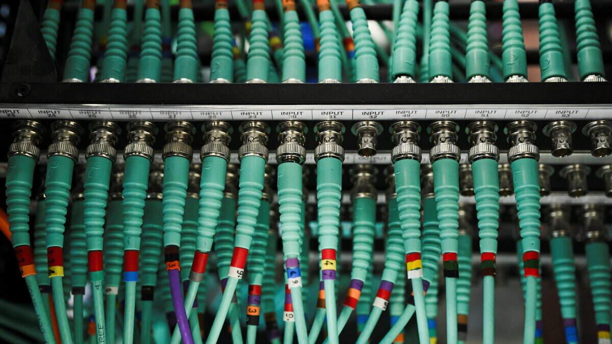 Cyber alarm across the globe as flaws exposed in website systems