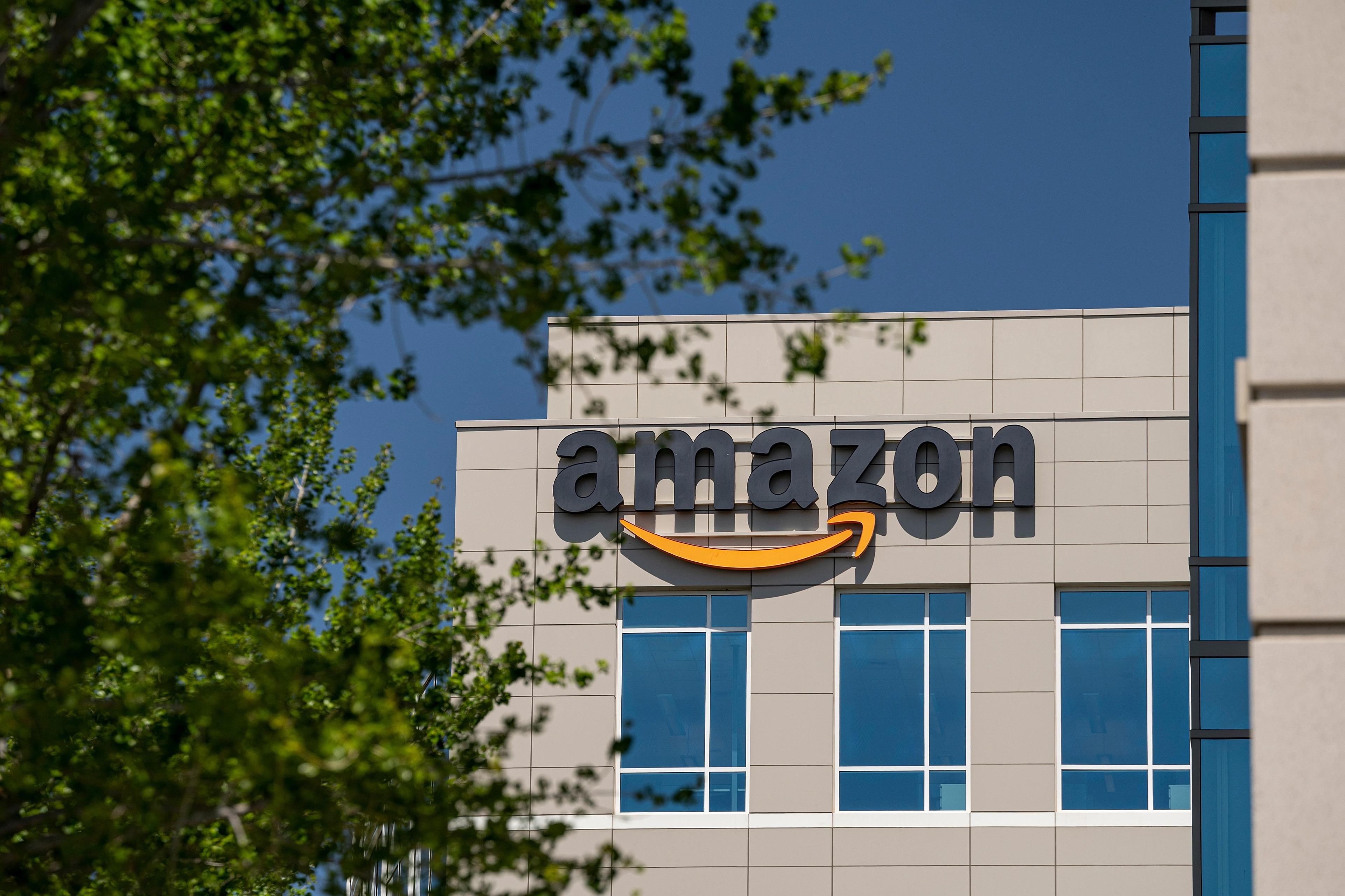 Amazon numbers in Q3 highlight need for more capital, analysts say