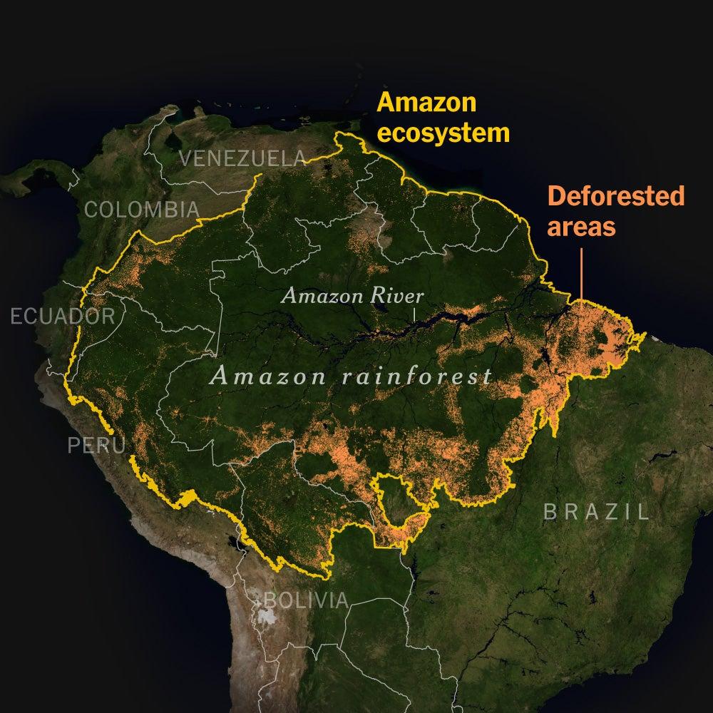 The future of the Amazon rainforest could depend on who wins.
